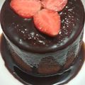 Cooksnap dari Ibuk. E untuk resep Bolu Chocolatos Takaran Sendok