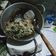 Cooksnap dari Wawan Kurniawan untuk resep Urap Sayuran