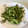 El cooksnap de Alicita cuando hizo Edamame.