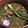 El cooksnap de Maggie cuando hizo Carne en su Jugo 😆.