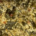 صورة من خوخه عسل، شاركها بعد تجربة وصفة رزيتو ورق العنب