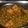  Chef Richa pathak. का कुकस्नैप जब उन्होंने कसूरी मटर पनीर (Kasori matar paneer recipe in hindi) बनाया था।