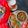 Vandana Darji's cooksnap of when they made તાવો ચાપડી (Tavo Chapdi Recipe in Gujarati).