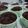 Cooksnap dari Hilda Swandani Prastiti untuk resep Muffin milo simple 