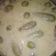 صورة من fatima recipes ، شاركها بعد تجربة وصفة مخشي الكوسا باللبن