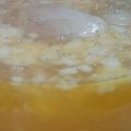 Cooksnap dari DW (Dapoer Wija) untuk resep Kopyor imitasi dari agar agar