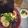 Cooksnap dari Mamoy_3 untuk resep Shoyu Ramen
