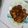 Cooksnap dari Cindy Sifa untuk resep Tahu kecap bumbu kacang