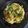 Chhaya Paradhi's cooksnap of when they made कोबीची भाजी (kobi chi sabji recipe in marathi).