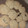 El cooksnap de Jimena Sol cuando hizo Galletitas Cookies de avena y coco by mamialhorno.
