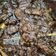 Cooksnap Nur Shahida semasa beliau membuat Daging Masak Hitam Berempah.