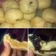 Cooksnap dari Dylan Milan untuk resep Bakpao Menul