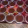 Cooksnap dari Nirma Sari untuk resep Puding Coklat Agar-agar Swallow