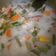 Cooksnap dari Nur Oktalia untuk resep 385. Sayur Lodeh Sunda