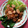 Cooksnap dari Dephiipoo untuk resep Pok coy saus tiram