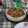 El cooksnap de Viviana cuando hizo Tarta de calabaza.