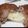 El cooksnap de Angélica Gdy cuando hizo Hamburguesas caseras de cerdo rellenas con queso, un lujo😊😊.