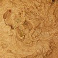 Nikki Retzlaff's cooksnap of when they made Lee's Tex Mex Pinto Bean Dip.