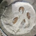 Lovely का कुकस्नैप जब उन्होंने कसार (kasar recipe in Hindi) बनाया था।