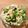 El cooksnap de Jess Ceballos cuando hizo Ensalada de Coles de Bruselas Asadas con Quinoa.