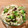 El cooksnap de Jess Ceballos cuando hizo Ensalada de Coles de Bruselas Asadas con Quinoa.