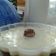 Cooksnap dari Fiona Momjosh untuk resep Puding Coklat Vla Susu
