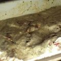 El cooksnap de Lorena Ovando cuando hizo Marineras de carne.