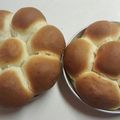 navahopigirl's cooksnap of when they made Yeast Rolls.