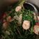 Cooksnap dari Dewi Komalasari untuk resep 16. Cah Kangkung Udang