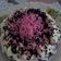 Cooksnap dari Yulia Anas untuk resep Black forest birthday