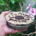 Cooksnap dari nadishes untuk resep Oreo Cream Cheese