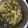 Subhashree Ramkumar 's cooksnap of when they made சிக்கன்(குக்கர்) பிரியாணி.