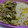 El cooksnap de alexa_ dr_ cuando hizo Picadillo de pavo con ejotes y calabacitas en salsa verde.