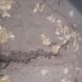 El cooksnap de Magaly Burgues Gomez cuando hizo Brownie vegano de porotos negros (FIT).