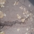El cooksnap de Magaly Burgues Gomez cuando hizo Brownie vegano de porotos negros (FIT).