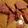 Tricia Sherwin's cooksnap of when they made Pastrami Steak w/ Pan Sauce.