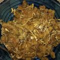 Cooksnap dari Nency Dian untuk resep Tumis pare pedas