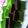 Cooksnap dari Cheppy untuk resep Brownis kukus coklat pandan