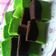 Cooksnap dari Cheppy untuk resep Brownis kukus coklat pandan