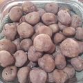 El cooksnap de Marina I. Blanck cuando hizo Papas arrugadas.