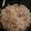 El cooksnap de Marion Vv cuando hizo Pasta con gambas y setas.