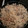 El cooksnap de Marion Vv cuando hizo Pasta con gambas y setas.