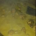 Cooksnap dari Nina Damanik untuk resep Gulai Ayam Jengkol 😁