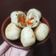 Cooksnap dari Intan Andriana untuk resep #1 Olos Tegal Isi Ayam Sosis Sayuran