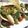 El cooksnap de Marieta cuando hizo Fajitas light.