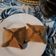 El cooksnap de Norma Maglione cuando hizo Pirokk receta de los alemanes del volga.