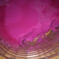 El cooksnap de Ama Cajal cuando hizo Gelatina con leche.