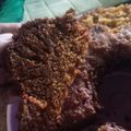 Cooksnap dari Yossi Prasti Ani untuk resep Bolu karamel 3 telur sarang semut anti gagal