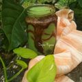 Cooksnap dari Putri(Dapur Ryuna)✅ untuk resep Jus Alpukat KW super