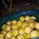 Cooksnap dari Idanovitaaa__ untuk resep Nastar